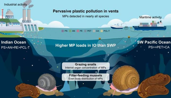 Schematic showing the sources of microplastics, the most common sorts at the surface and how those found in life around hydrothermal vents contrast Schematic showing the sources of microplastics, the most common sorts at the surface and how those found in life around hydrothermal vents contrast